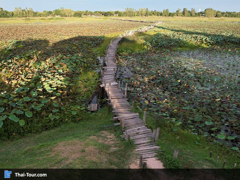 ภาพมุมสูง สะพานไม้แกดำ