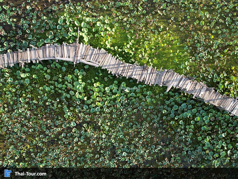 ภาพมุมสูง สะพานไม้แกดำ