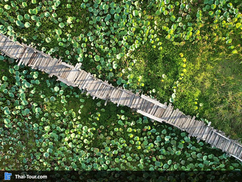 ภาพมุมสูง สะพานไม้แกดำ