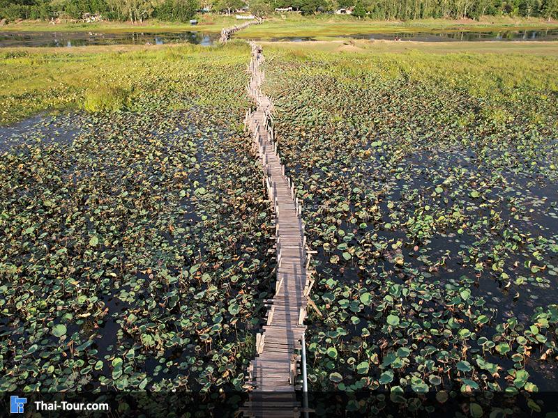 ภาพมุมสูง สะพานไม้แกดำ