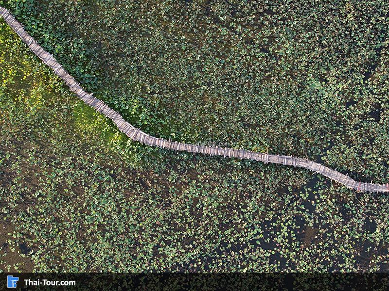 ภาพมุมสูง สะพานไม้แกดำ