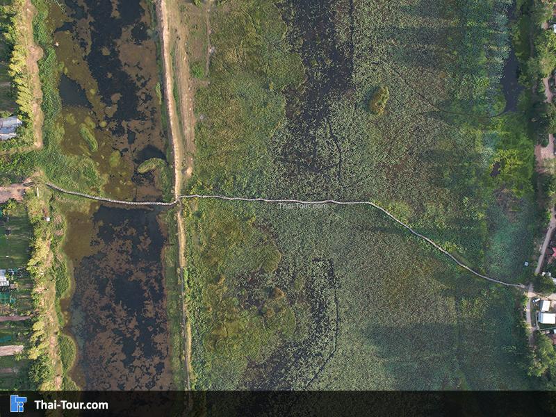 ภาพมุมสูง สะพานไม้แกดำ