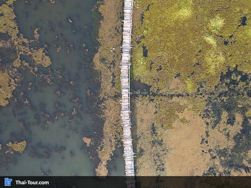 ภาพมุมสูง สะพานไม้แกดำ