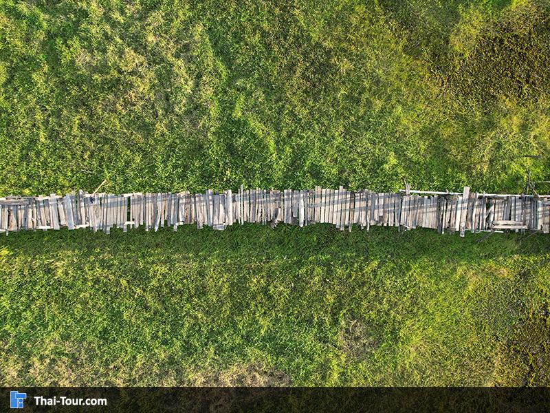 ภาพมุมสูง สะพานไม้แกดำ