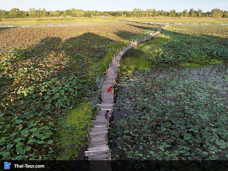 ภาพมุมสูง สะพานไม้แกดำ