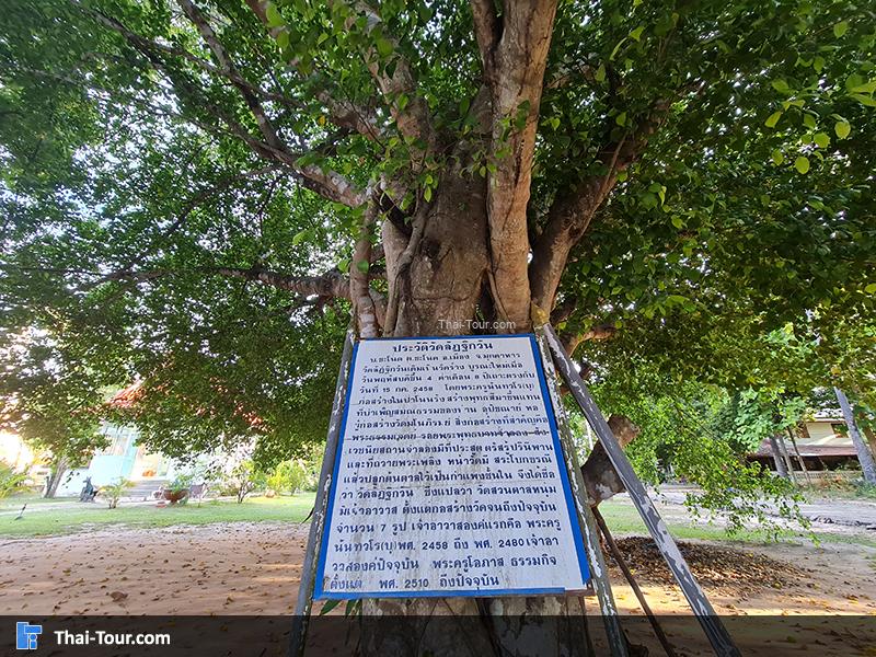 วัดลัฏฐิกวัน