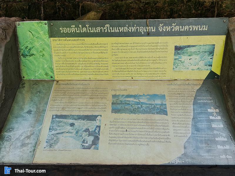 ประวัติความเป็นมา