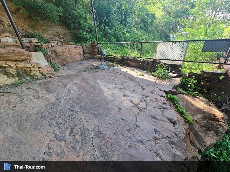 แหล่งเรียนรู้ รอยเท้าไดโนเสาร์ ท่าอุเทน