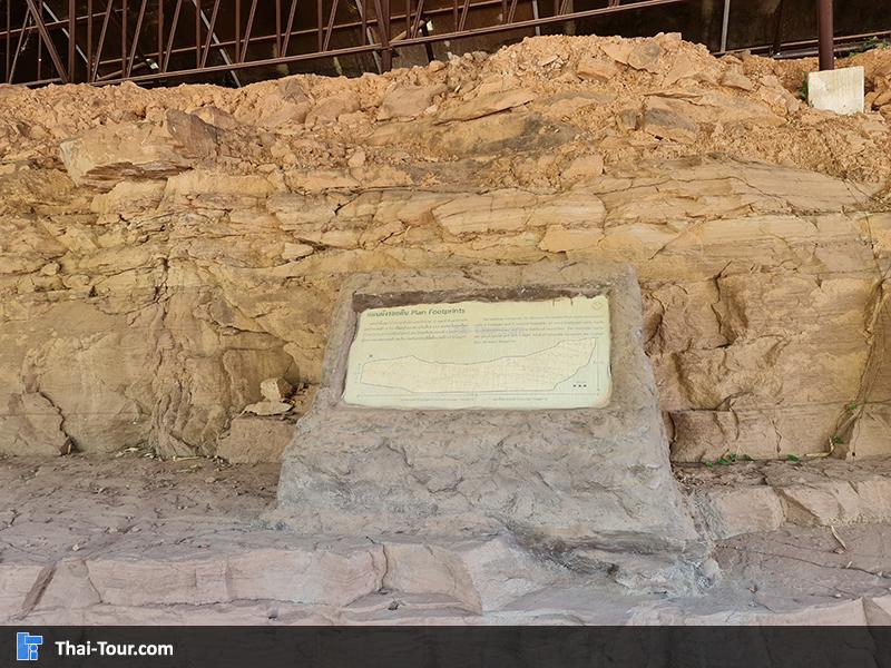 แหล่งเรียนรู้ รอยเท้าไดโนเสาร์ ท่าอุเทน