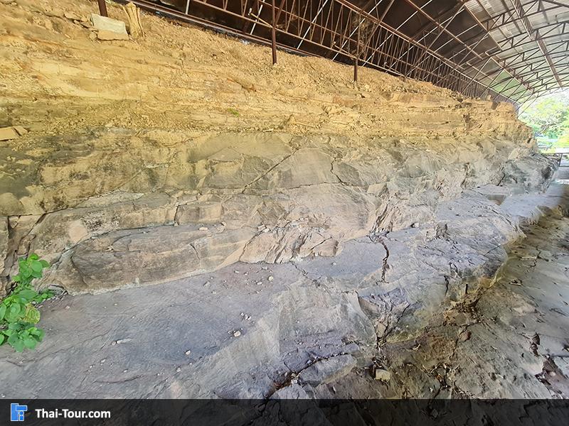 แหล่งเรียนรู้ รอยเท้าไดโนเสาร์ ท่าอุเทน