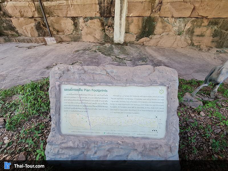 แหล่งเรียนรู้ รอยเท้าไดโนเสาร์ ท่าอุเทน