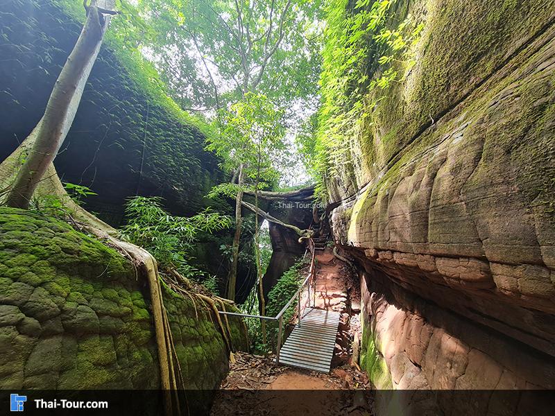 บรรยากาศ ถ้ำนาคี