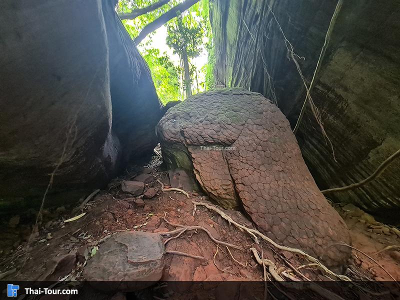 ถ้ำนาคี 4