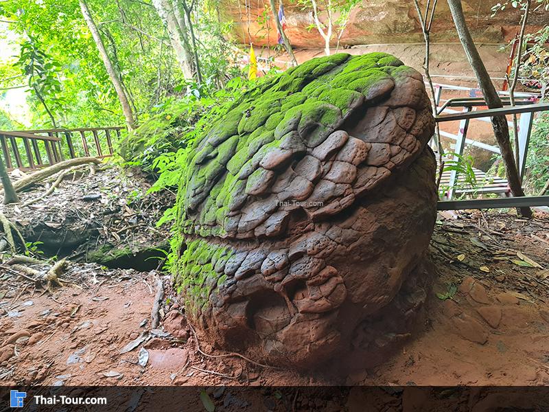 ถ้ำนาคี 5