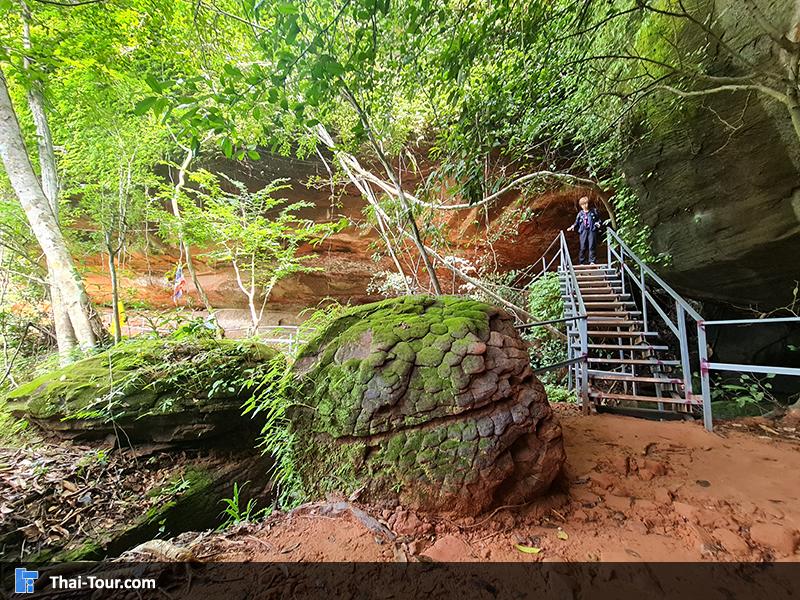 ถ้ำนาคี 5