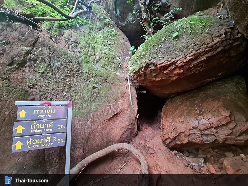 ถ้ำนาคี 7