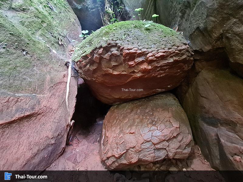 ถ้ำนาคี 7
