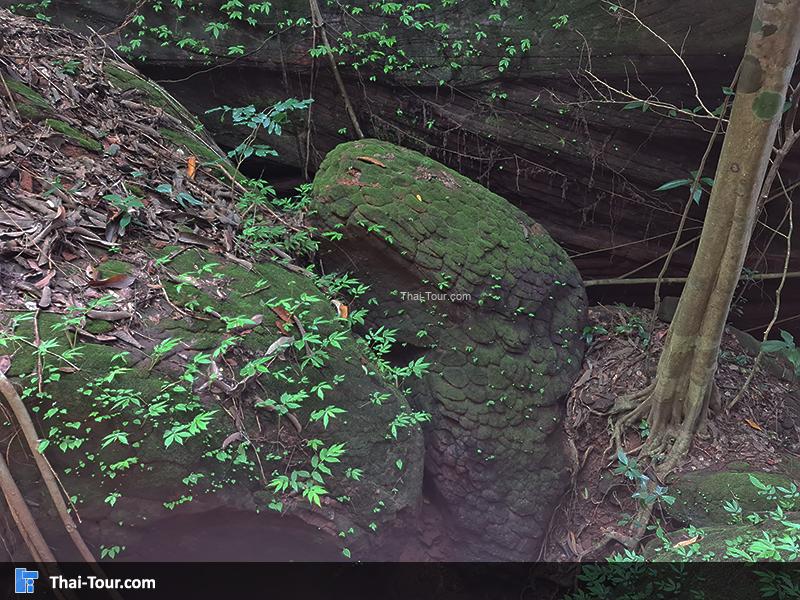 ถ้ำนาคี 8