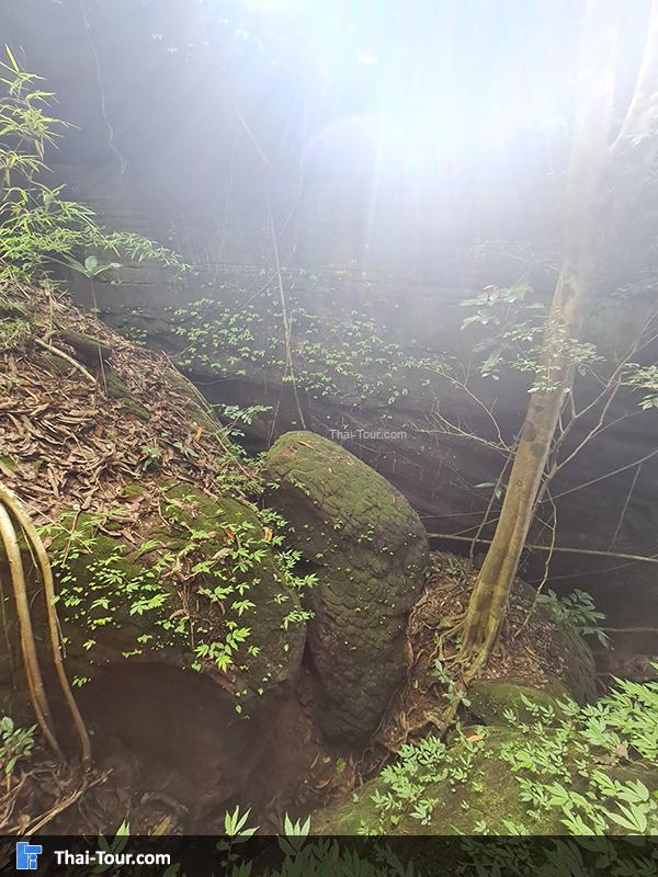 ถ้ำนาคี 8