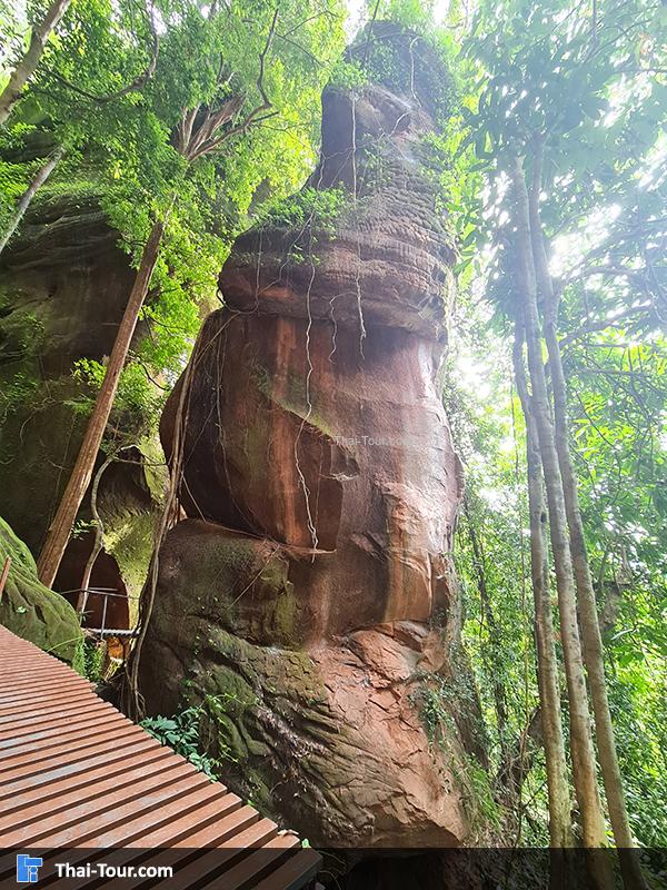 ถ้ำนาคี 9