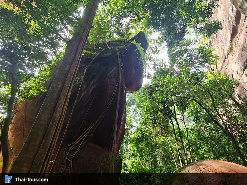 ถ้ำนาคี 9