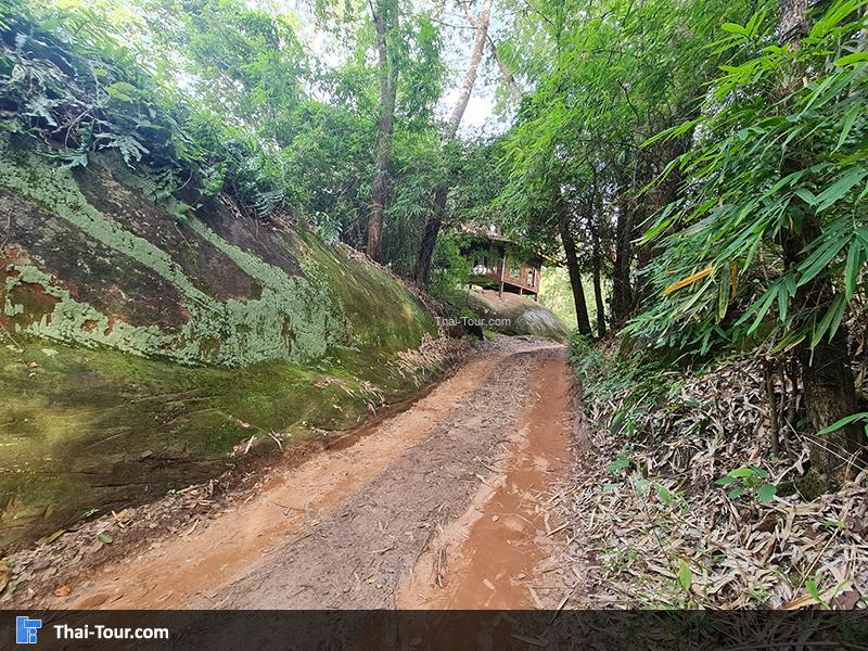 ทางเดิน หินสามวาฬ บึงกาฬ