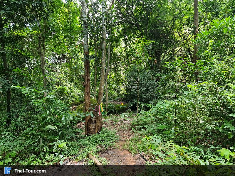 บรรยากาศถ้ำนาคา