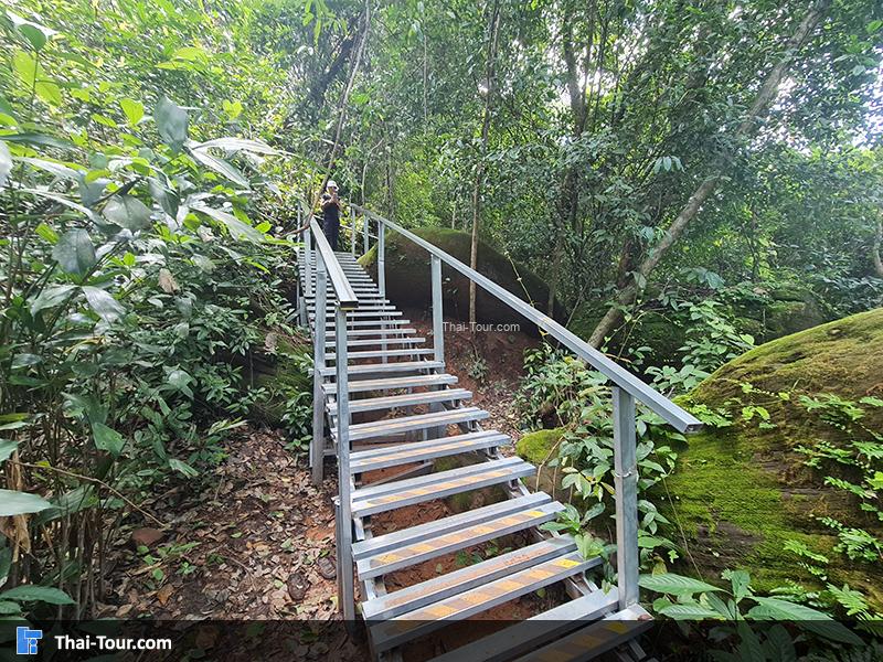 ทางเดินขึ้น