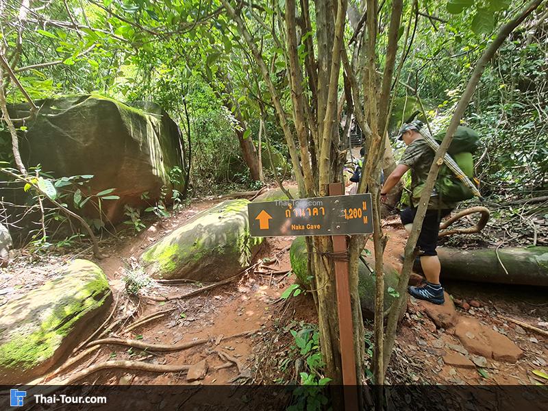 ถ้ำนาคา