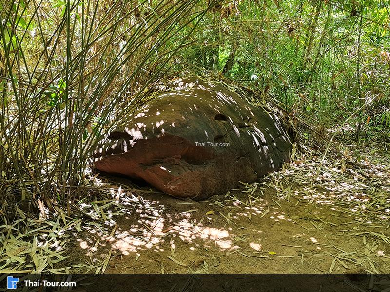 ถ้ำนาคา