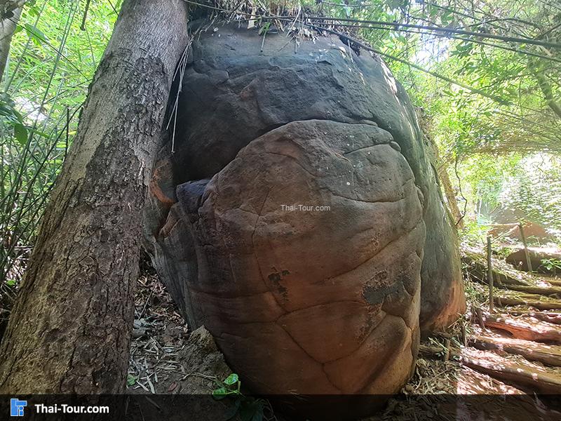 ถ้ำนาคา