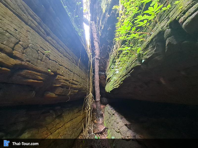 ถ้ำนาคา