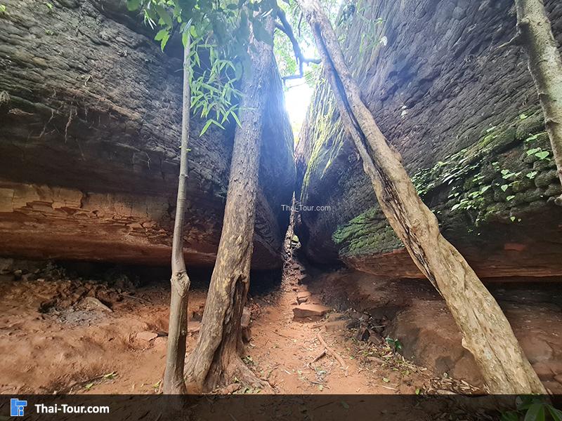 ถ้ำนาคา