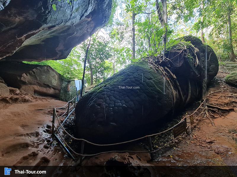 ถ้ำนาคา