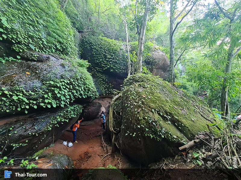 ถ้ำนาคา