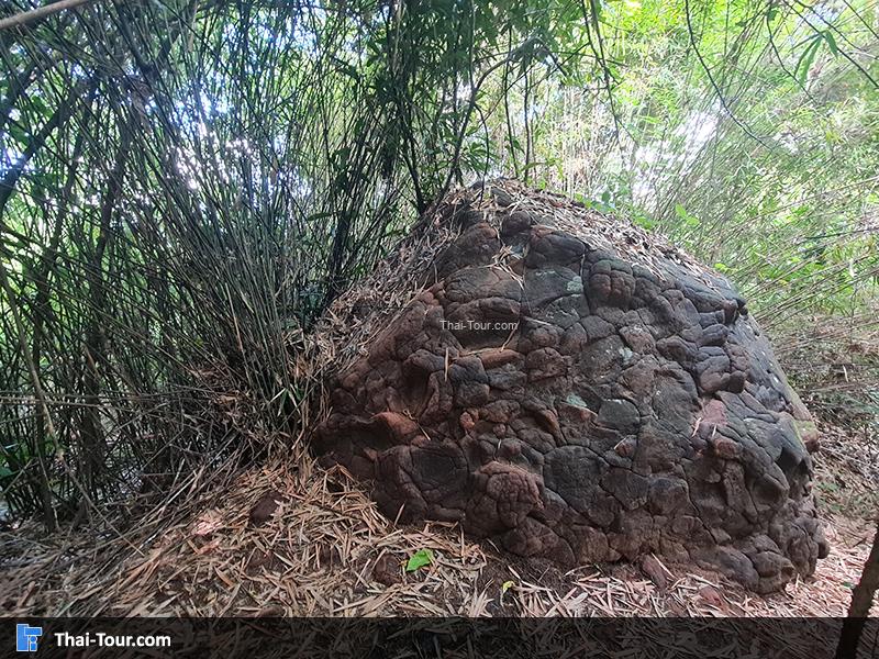 ถ้ำนาคา