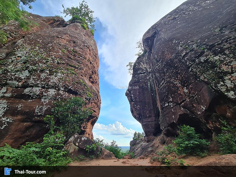 ประตูสิงห์