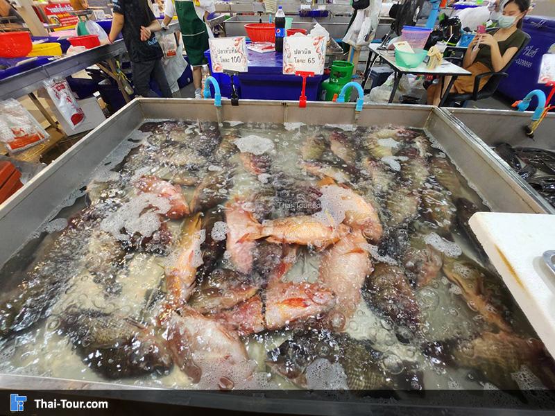 ตลาดธนบุรี 2 ถนนบรมราชชนนี