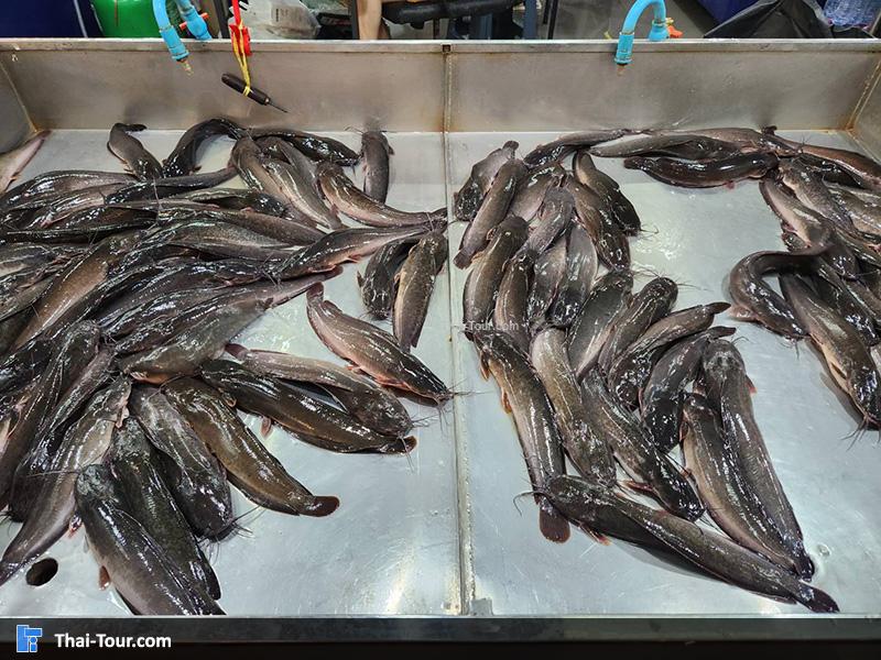 ตลาดธนบุรี 2 ถนนบรมราชชนนี