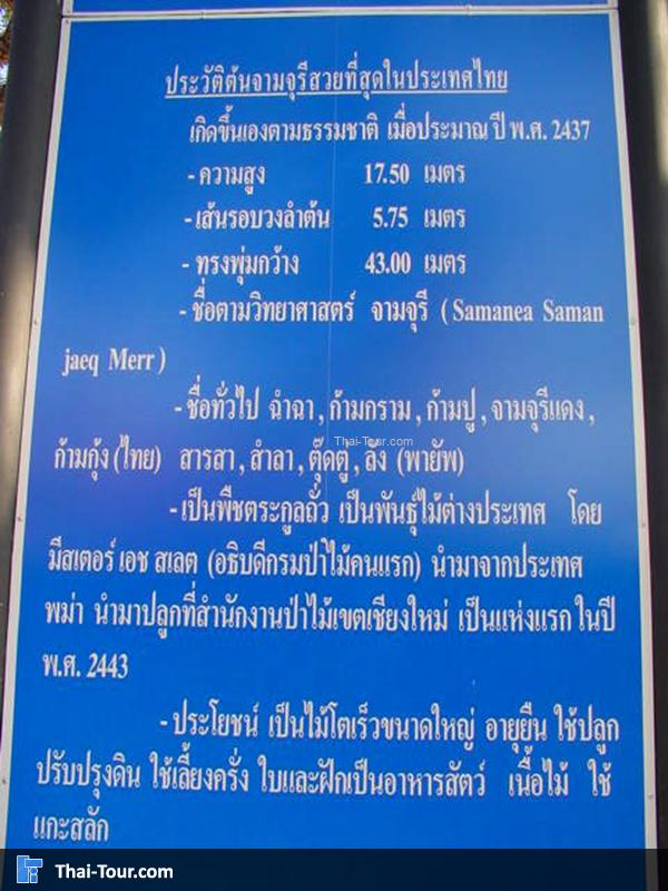 ประวัติความเป็นมา