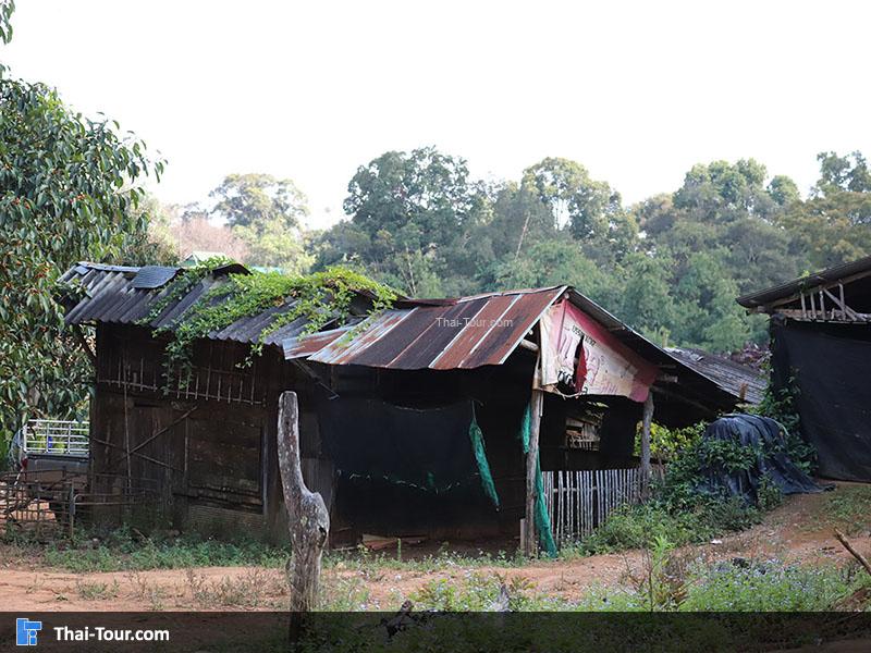 บรรยากาศของ ขุนช้างเคี่ยน