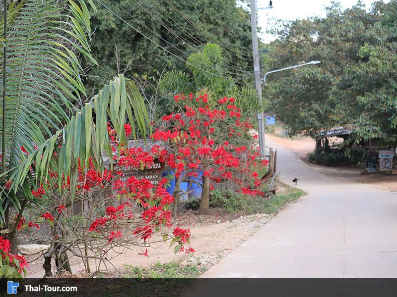 บรรยากาศของ ขุนช้างเคี่ยน