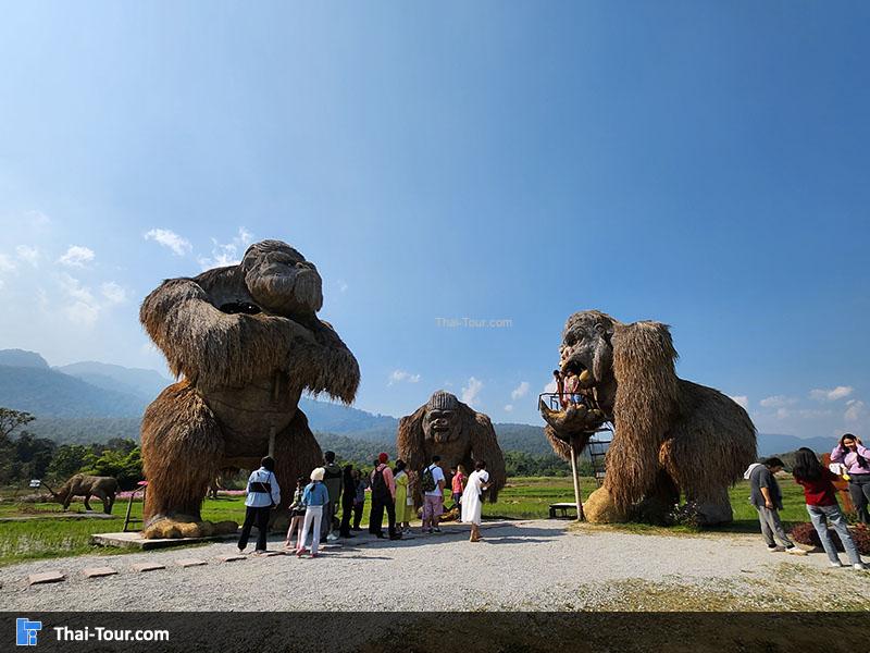 คิงคองยักษ์ ห้วยตึงเฒ่า