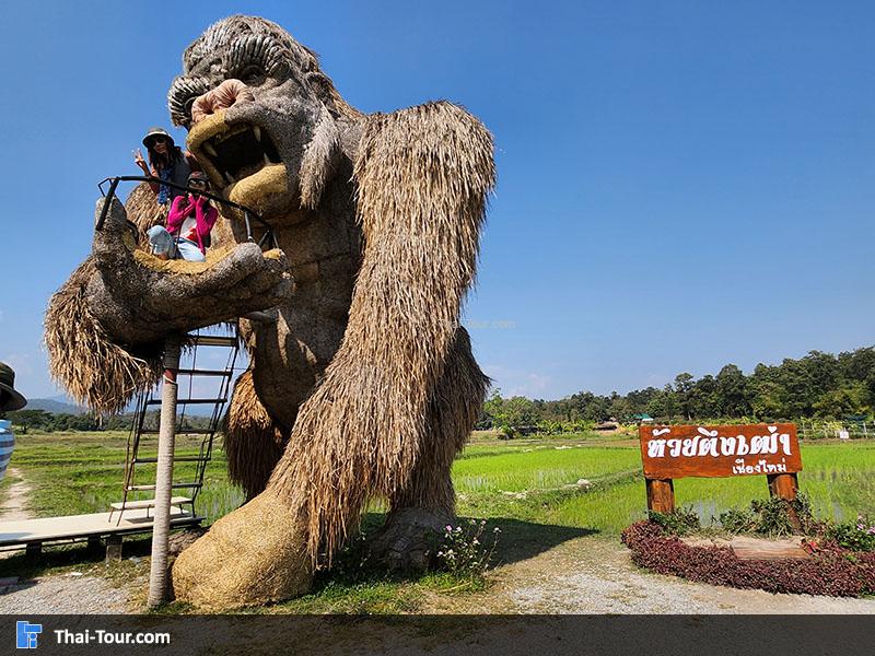 คิงคองยักษ์ ห้วยตึงเฒ่า