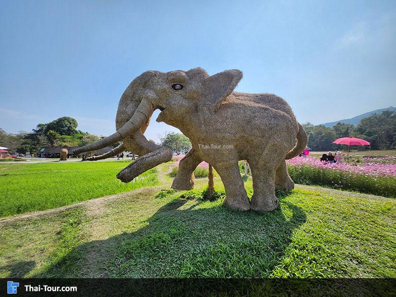 ข้าง ห้วยตึงเฒ่า