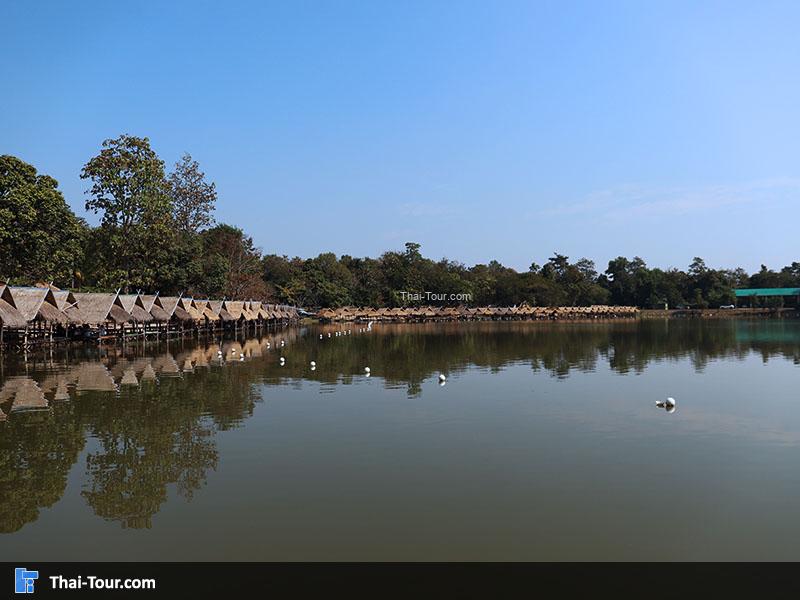 บรรยากาศแพริมน้ำ อ่างเก็บน้ำห้วยตึงเฒ่า