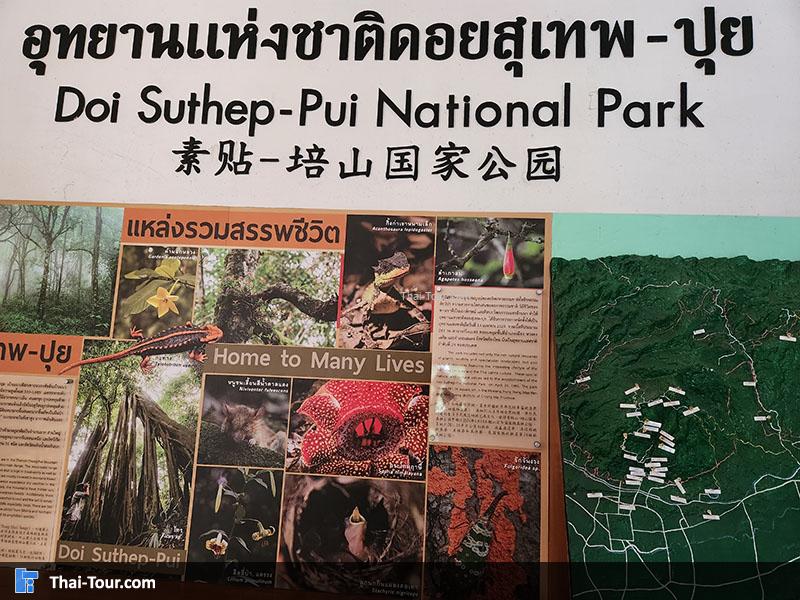 ป้ายอุทยานดอยสุเทพ