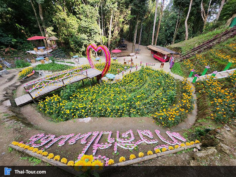 สวนสตรอว์เบอร์รี บ้านม้งขุนช้างเคี่ยน