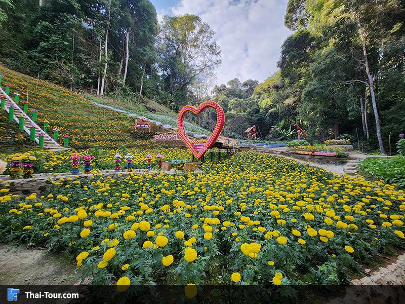 สวนสตรอว์เบอร์รี บ้านม้งขุนช้างเคี่ยน