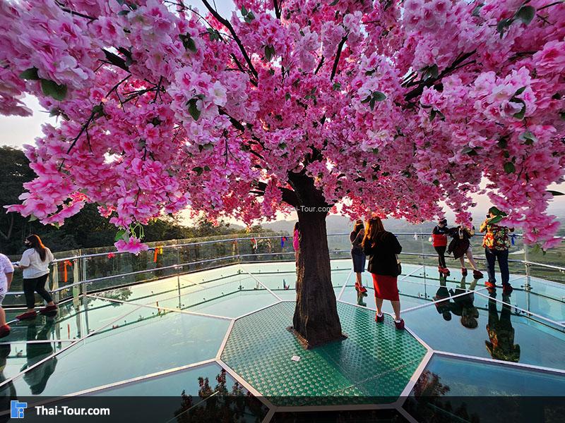 สกายวอล์คผาเงา 3 แผ่นดิน